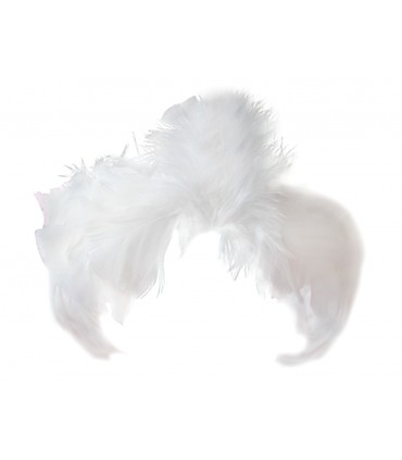 #0592 Čelenka perie